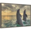 23" X 16" Dolphin Dance By Stuart Westmorland Danita Delimont Framed Canvas Wall Art - Amanti Art