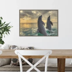 23" X 16" Dolphin Dance By Stuart Westmorland Danita Delimont Framed Canvas Wall Art - Amanti Art -Safavieh Outlet Store GUEST 05e63330 06ef 42bd be40 3e1578886717