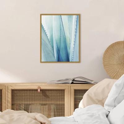 16" X 20" Pale Agave No.1 By Lupen Grainne Framed Canvas Wall Art Blue - Amanti Art 5 16" X 20" Pale Agave No.1 By Lupen Grainne Framed Canvas Wall Art Blue - Amanti Art - Image 5
