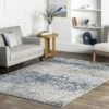 NuLOOM Wilde Distressed Area Rug
