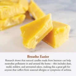 Candle By The Hour 70-Hour Beehive Candle Refill, Eco-friendly Natural Beeswax With Cotton Wick -Safavieh Outlet Store GUEST 1be736d2 98df 44a4 a9c7 7790105f7a35