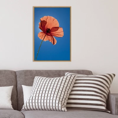 16" X 23" Poppy Flower By Michele Niles Danita Delimont Framed Canvas Wall Art Blue - Amanti Art 7 16" X 23" Poppy Flower By Michele Niles Danita Delimont Framed Canvas Wall Art Blue - Amanti Art - Image 7