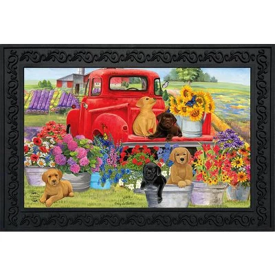 Spring Day Puppies Doormat Dogs Indoor Outdoor 30" X 18" Briarwood Lane 1 Spring Day Puppies Doormat Dogs Indoor Outdoor 30" X 18" Briarwood Lane