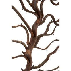 Wood Tree Branch Wall Decor With Black Frame Brown - Olivia & May -Safavieh Outlet Store GUEST 2762e4fc 4918 4436 9821 13532bfe3f0e