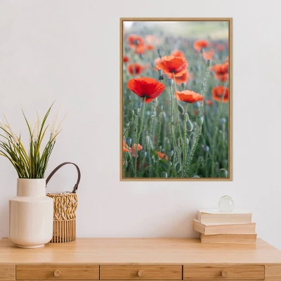 16" X 23" Poppies In Bloom By Brent Bergherm Danita Delimont Framed Canvas Wall Art - Amanti Art 5 16" X 23" Poppies In Bloom By Brent Bergherm Danita Delimont Framed Canvas Wall Art - Amanti Art - Image 5
