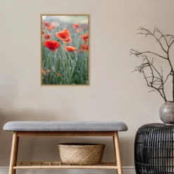 16" X 23" Poppies In Bloom By Brent Bergherm Danita Delimont Framed Canvas Wall Art - Amanti Art 12 16" X 23" Poppies In Bloom By Brent Bergherm Danita Delimont Framed Canvas Wall Art - Amanti Art -Safavieh Outlet Store GUEST 45272054 9cc0 40f1 af03 2b230222fdef