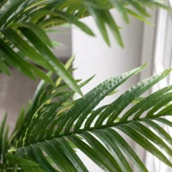 Forever Leaf 72" Artificial Palm Tree In Black Pot, Indoor Artificial Plant For Home Decor -Safavieh Outlet Store GUEST 54fb1492 4eb2 4314 8eaf e8d1cacff867