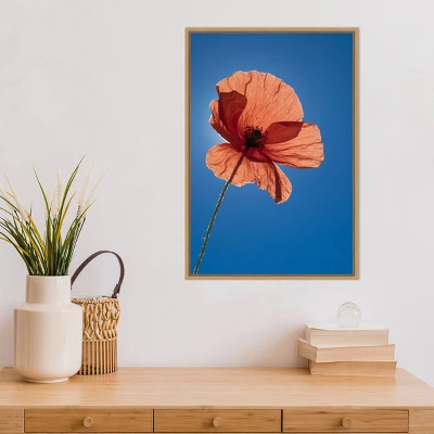 16" X 23" Poppy Flower By Michele Niles Danita Delimont Framed Canvas Wall Art Blue - Amanti Art 5 16" X 23" Poppy Flower By Michele Niles Danita Delimont Framed Canvas Wall Art Blue - Amanti Art - Image 5