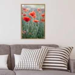 16" X 23" Poppies In Bloom By Brent Bergherm Danita Delimont Framed Canvas Wall Art - Amanti Art 13 16" X 23" Poppies In Bloom By Brent Bergherm Danita Delimont Framed Canvas Wall Art - Amanti Art -Safavieh Outlet Store GUEST 5936bd63 25e8 4c29 8552 30f8b0e82f83