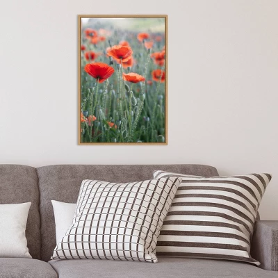 16" X 23" Poppies In Bloom By Brent Bergherm Danita Delimont Framed Canvas Wall Art - Amanti Art 7 16" X 23" Poppies In Bloom By Brent Bergherm Danita Delimont Framed Canvas Wall Art - Amanti Art - Image 7