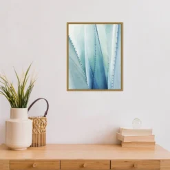 16" X 20" Pale Agave No.1 By Lupen Grainne Framed Canvas Wall Art Blue - Amanti Art 7 16" X 20" Pale Agave No.1 By Lupen Grainne Framed Canvas Wall Art Blue - Amanti Art -Safavieh Outlet Store GUEST 5ca8b4c0 e72d 43ba 8518 39be3b7a7555
