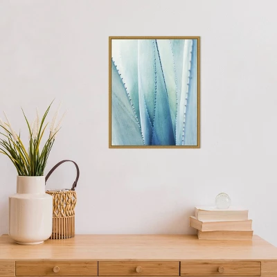 16" X 20" Pale Agave No.1 By Lupen Grainne Framed Canvas Wall Art Blue - Amanti Art 3 16" X 20" Pale Agave No.1 By Lupen Grainne Framed Canvas Wall Art Blue - Amanti Art - Image 3