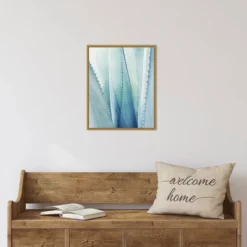 16" X 20" Pale Agave No.1 By Lupen Grainne Framed Canvas Wall Art Blue - Amanti Art 8 16" X 20" Pale Agave No.1 By Lupen Grainne Framed Canvas Wall Art Blue - Amanti Art -Safavieh Outlet Store GUEST 5e0813fb a3f5 4e7e 926c e173db9a53a7