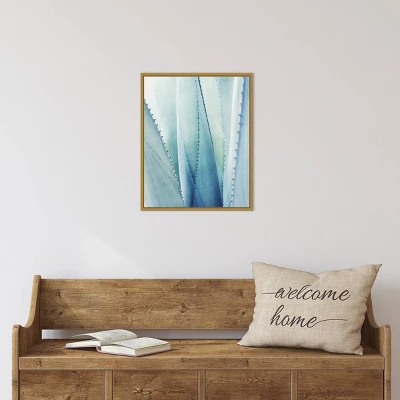16" X 20" Pale Agave No.1 By Lupen Grainne Framed Canvas Wall Art Blue - Amanti Art 4 16" X 20" Pale Agave No.1 By Lupen Grainne Framed Canvas Wall Art Blue - Amanti Art - Image 4