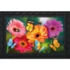 Garden Gerber Daisies Spring Doormat Indoor Outdoor 30" X 18" Briarwood Lane