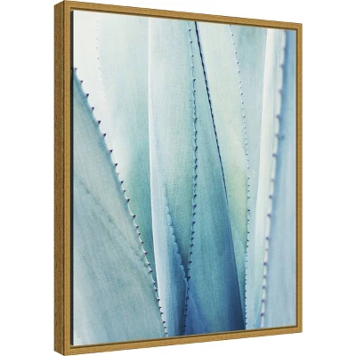 16" X 20" Pale Agave No.1 By Lupen Grainne Framed Canvas Wall Art Blue - Amanti Art 1 16" X 20" Pale Agave No.1 By Lupen Grainne Framed Canvas Wall Art Blue - Amanti Art