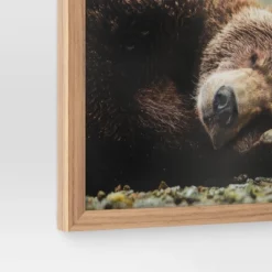 20" X 16" Bear Photography Framed Art Brown - Threshold™ -Safavieh Outlet Store GUEST 8d29808a 8d0a 4121 a8c8 64d15cc45658
