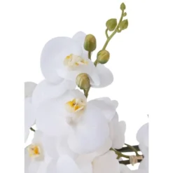 Dahlia Studios Potted Faux Artificial Flowers Realistic White Phalaenopsis Orchid In White Ceramic Pot Home Decoration 29" High -Safavieh Outlet Store GUEST 98aaa0f5 4fa7 480e ae80 f63be8f10a1d