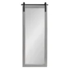 18" X 50" Cates Full Length Wall Mirror Gray - Kate & Laurel All Things Decor