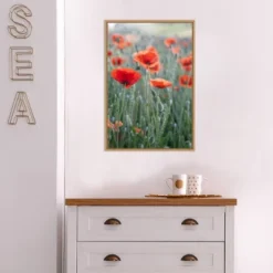 16" X 23" Poppies In Bloom By Brent Bergherm Danita Delimont Framed Canvas Wall Art - Amanti Art 10 16" X 23" Poppies In Bloom By Brent Bergherm Danita Delimont Framed Canvas Wall Art - Amanti Art -Safavieh Outlet Store GUEST bc020e01 b27e 4a94 9655 83700032c59a