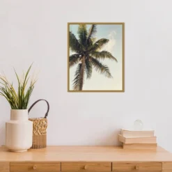 16" X 20" Coconut Palm By Olivia Joy Framed Canvas Wall Art - Amanti Art -Safavieh Outlet Store GUEST cf904d93 6224 4dce a6b3 c227347ddf64