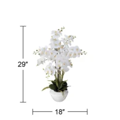 Dahlia Studios Potted Faux Artificial Flowers Realistic White Phalaenopsis Orchid In White Ceramic Pot Home Decoration 29" High -Safavieh Outlet Store GUEST df4c5fab 3b39 4b74 b22f eba309ee04bd