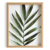 16" X 20" Blake Botanical 5F Framed Printed Glass By Amy Peterson Natural - Kate And Laurel
