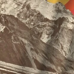 Safavieh Outlet Store -Safavieh Outlet Store GUEST e8873bf9 dc37 43ee b20e bb2d220dacdc